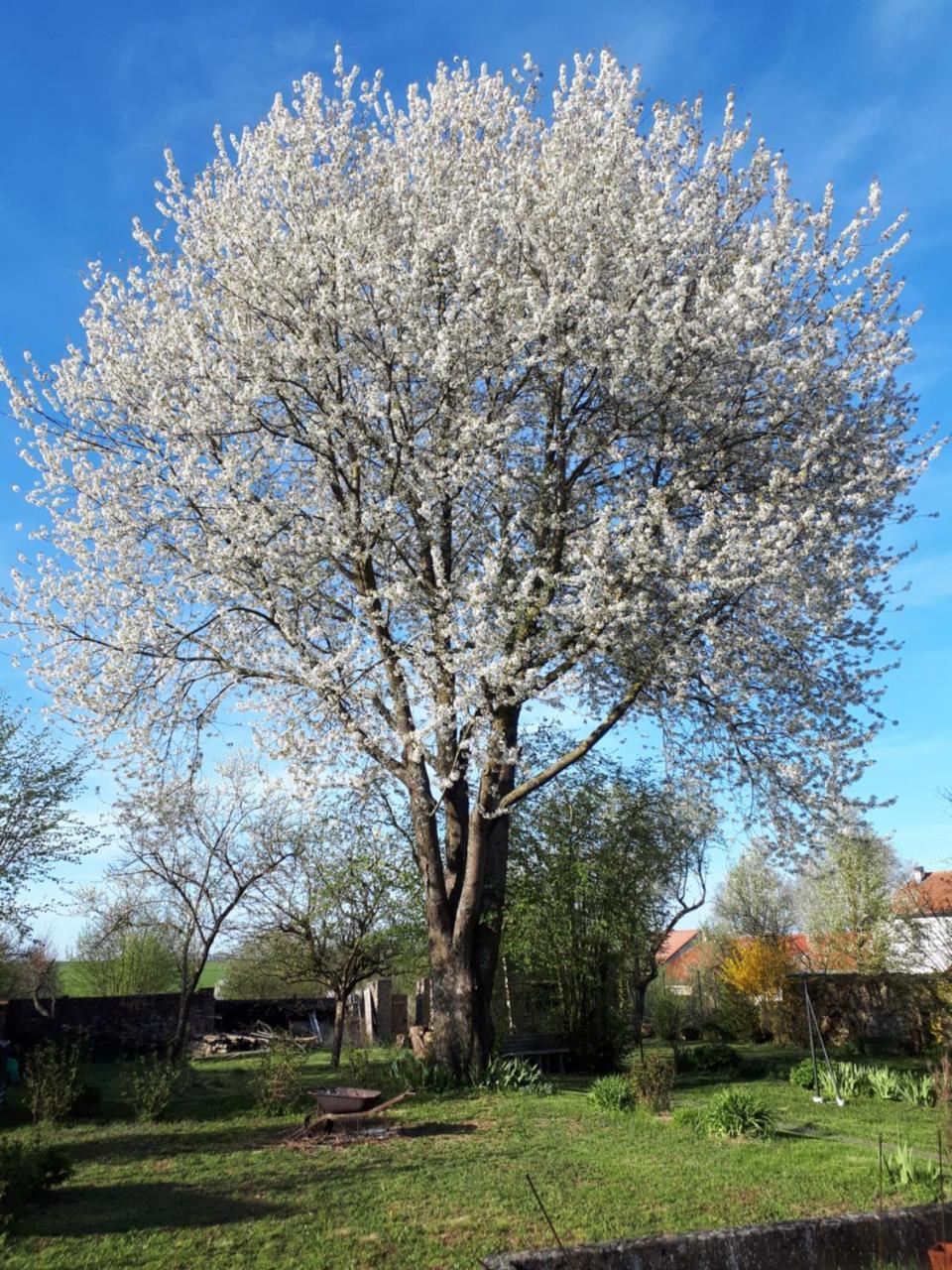 Les Jardins De La Grange Bed & Breakfast Rezonville Dış mekan fotoğraf