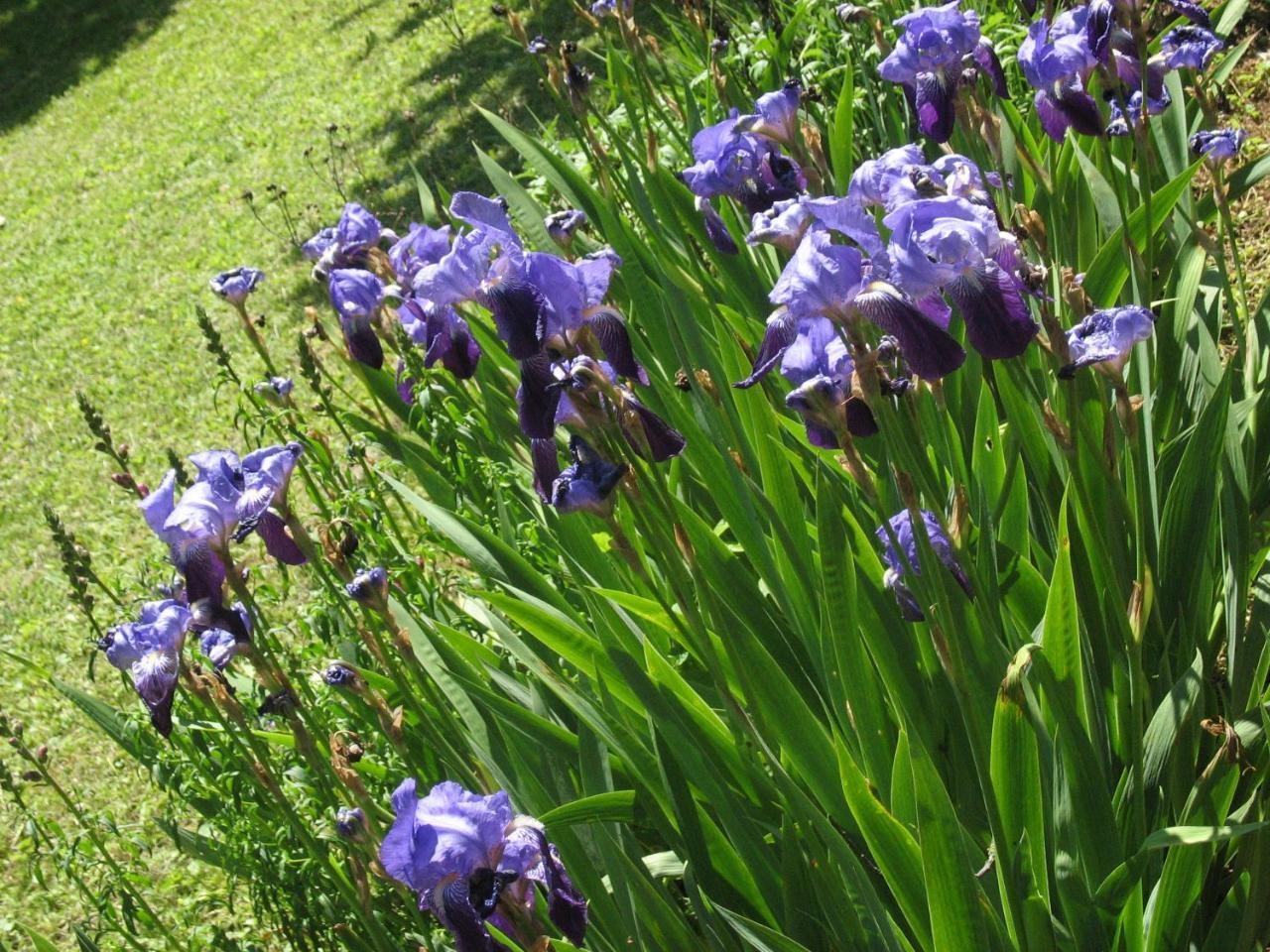 Les Jardins De La Grange Bed & Breakfast Rezonville Dış mekan fotoğraf